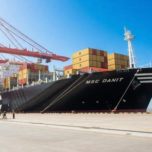Sea Freight 
